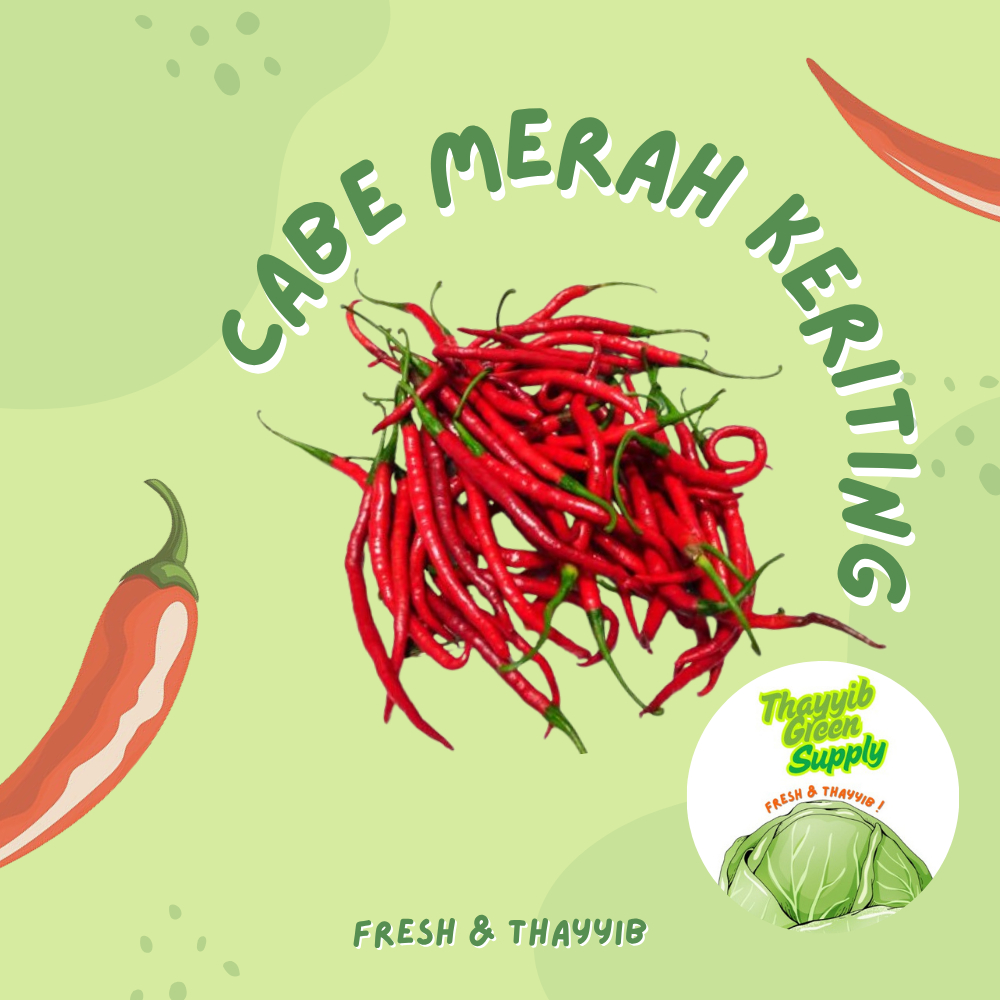 

CABAI MERAH KERITING 1 KG / CABE MERAH KERITING FRESH - THAYYIB GREEN SUPPLY