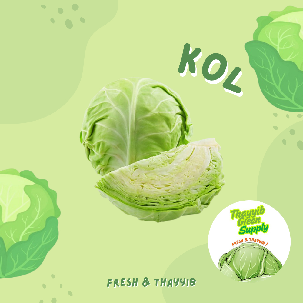 

SAYUR KOL SEGAR / KOL PUTIH FRESH 1 KG - THAYYIB GREEN SUPPLY