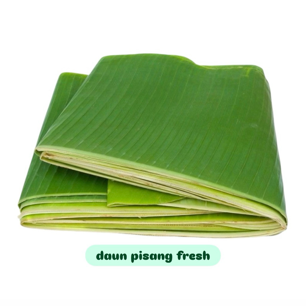 

Daun Pisang Fresh per pcs seperti gambar