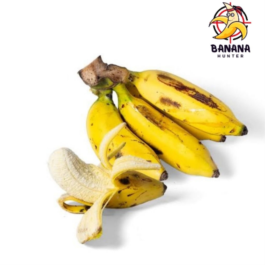 

pisang uli segar || fresh dipetik dari pohon saat ada orderan