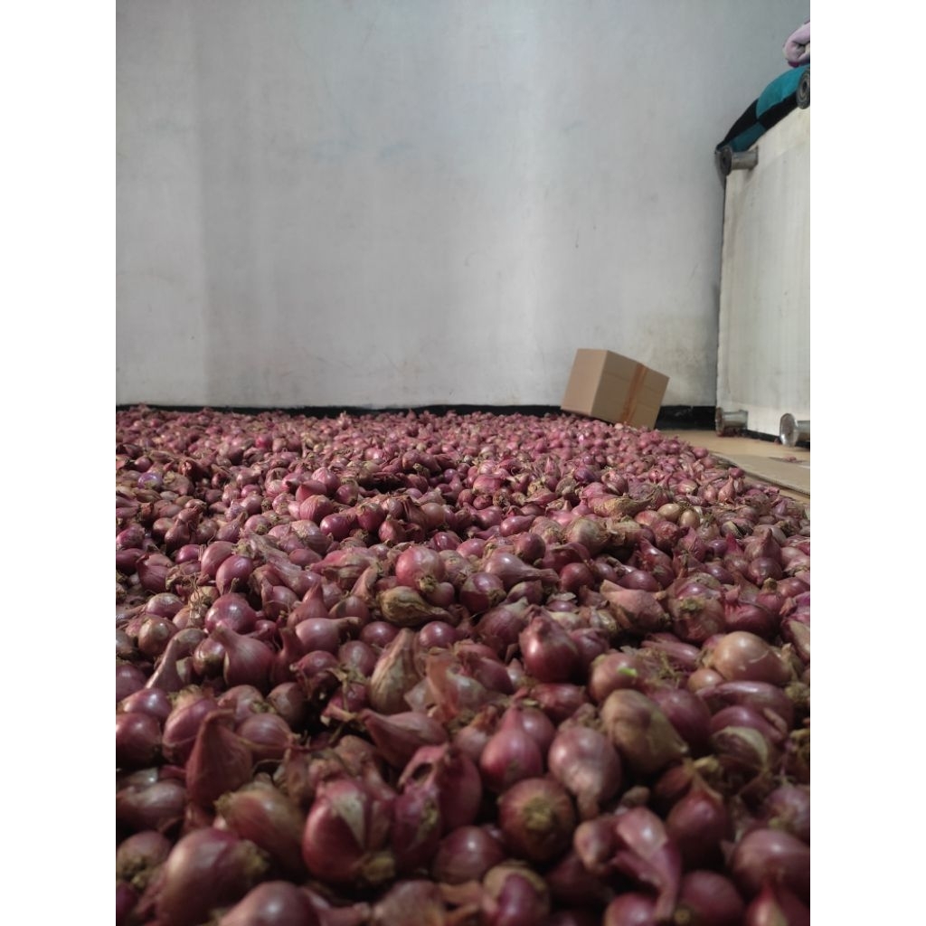 

BAWANG MERAH KECIL/MINI UKURAN 500 GRAM