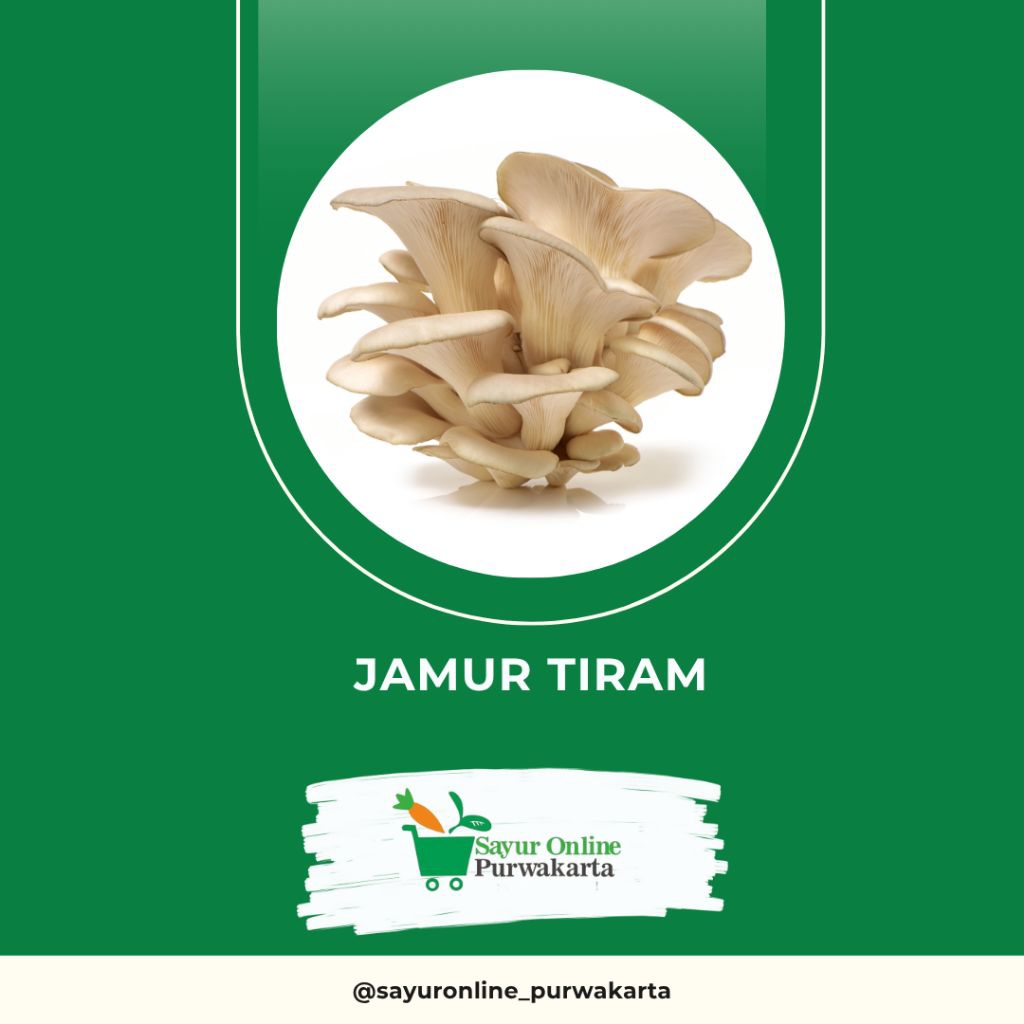 

Jamur Tiram - Sayur Online Purwakarta