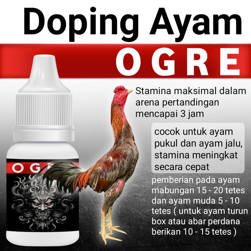 doping ayam pakhoy drumband
