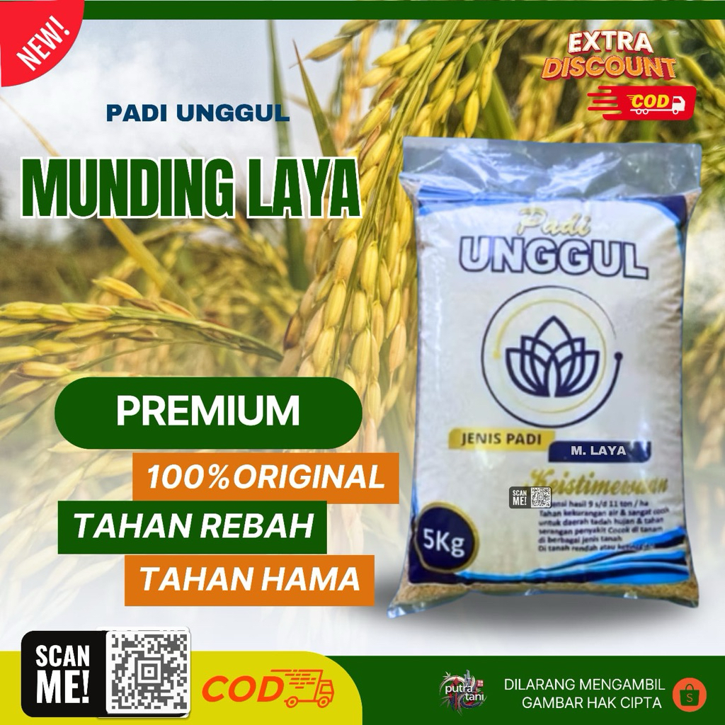 PADI UNGGUL MUNDING LAYA 5KG