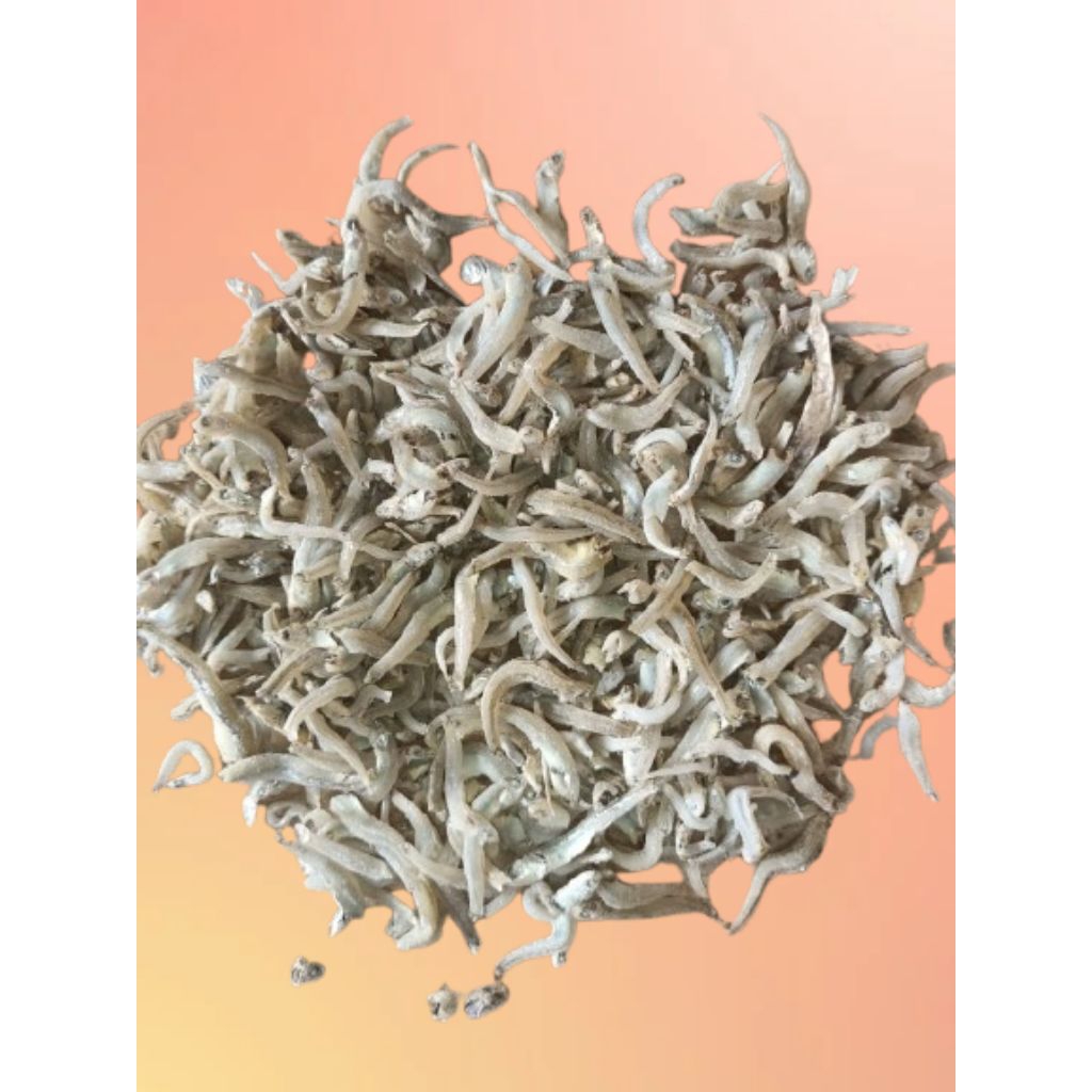 

[COD] TERI TAUGE | TERI NASI | TN VIP BUNTIO SUPER | 1 KG | 500 GR | 250 GR | SIZE JUMBO/BESAR KUALITAS TERJAMIN