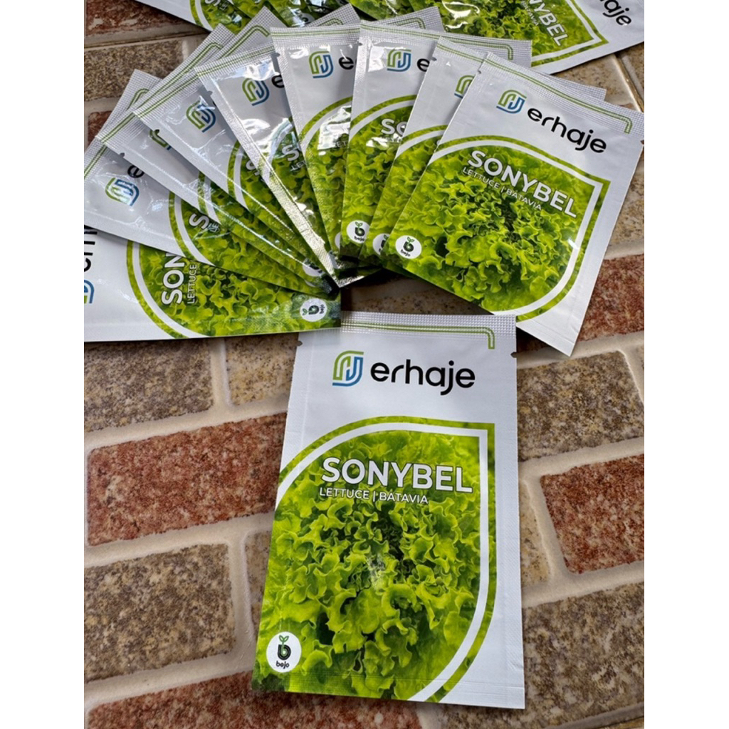 Benih selada import Sonybel Lettuce Batavia