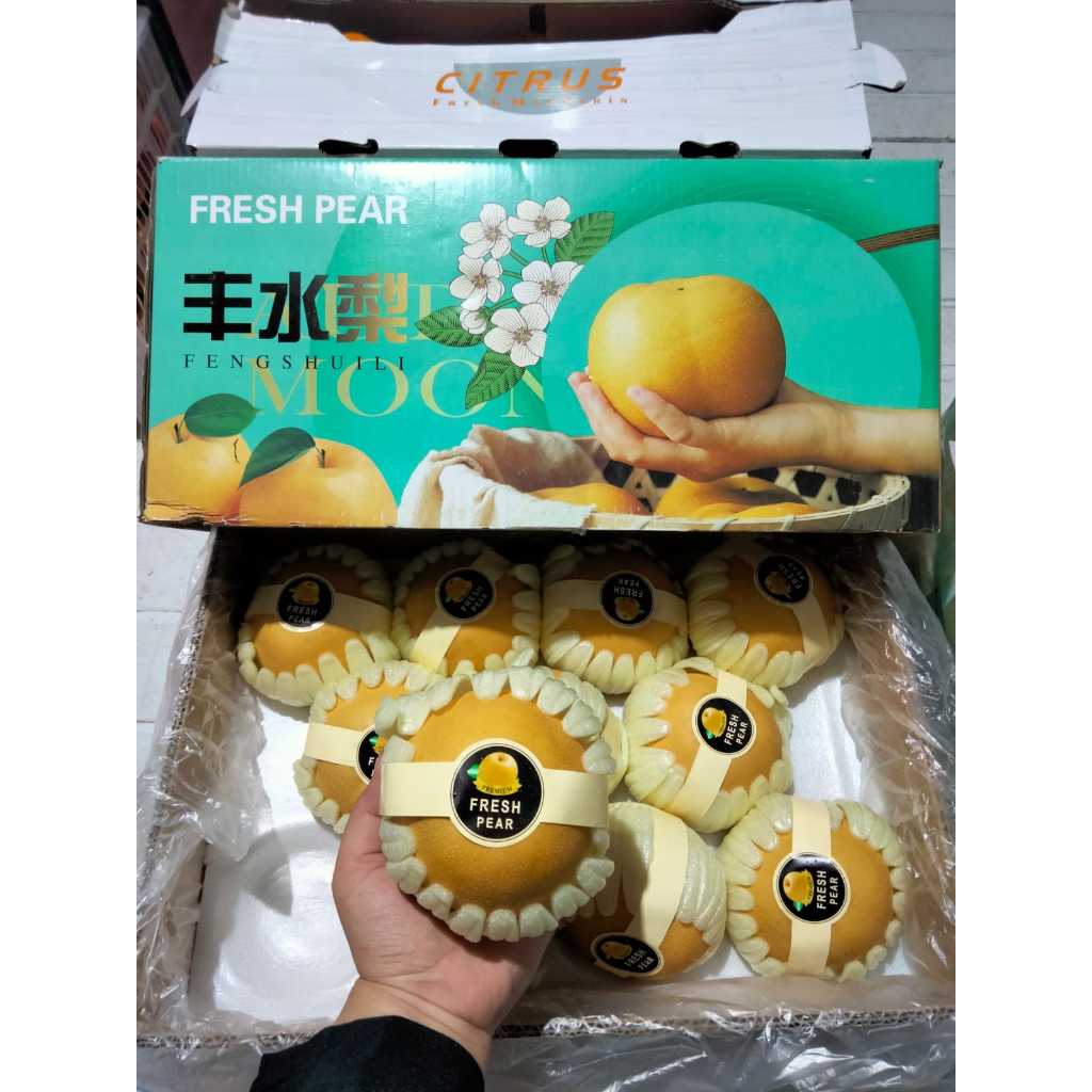 

Pear Singo China (Pcs)