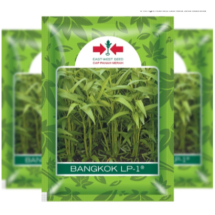 

Kangkung Bangkok LP-1 Isi 1500 Butir Cap Panah Merah Kangkung bkk lp 1 holytani99