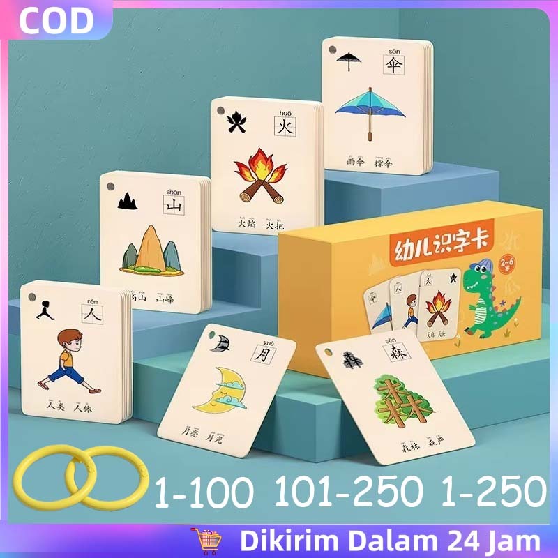 100 / 250pcs Flashcard Binatang Darat Air Udara - Kartu Pintar Hewan, Flash Card Fauna Bergambar Luc