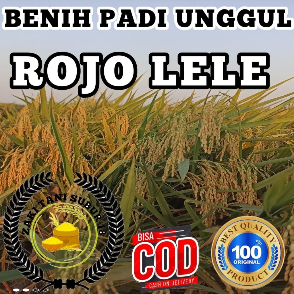 BENIH BIBIT PADI ROJO LELE SUPER TERBAIK BERKUALITAS ORIGINAL KEMASAN (1KG)