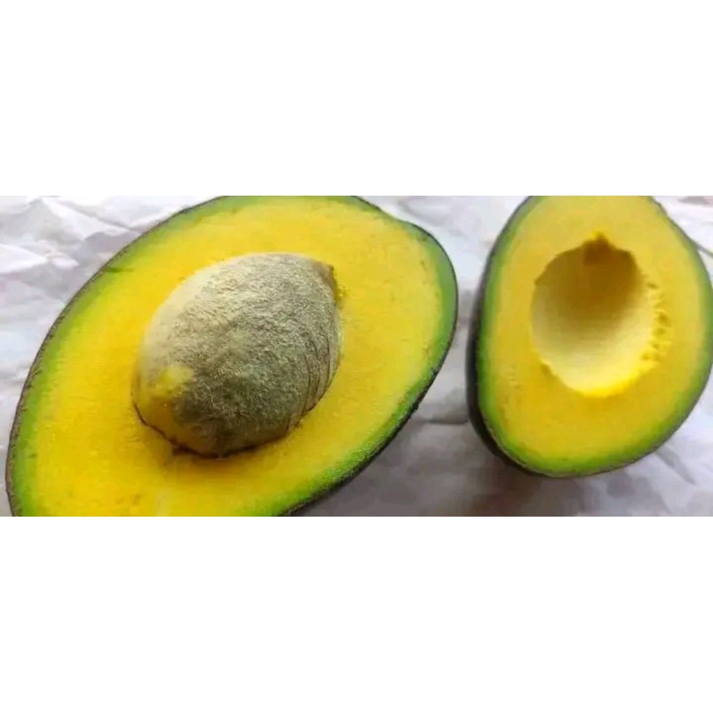 

alpukatmiki1kgisi4-5