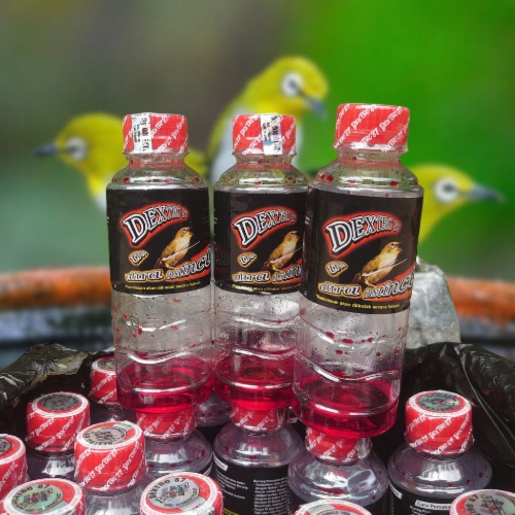 DEXTRO 87 // METABOLISME BURUNG TERBARU ORIGINAL PENGGACOR BURUNG AMPUH