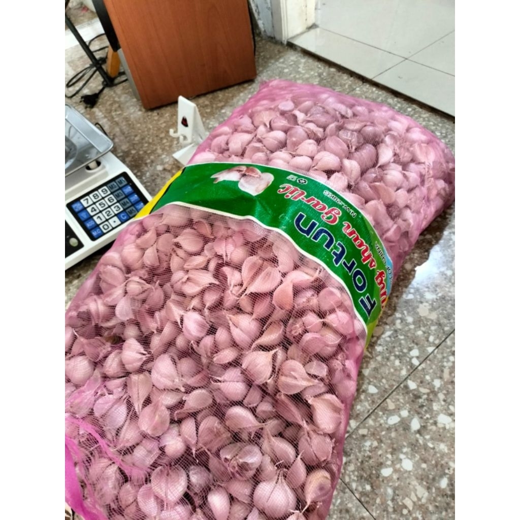 

Promo Bawang Putih Kating Bersih 1kg/Bawang Putih Kating Bersih 500gram/Bawang putih Kating Bersih 250gram/Promo Bawang Putih Kating
