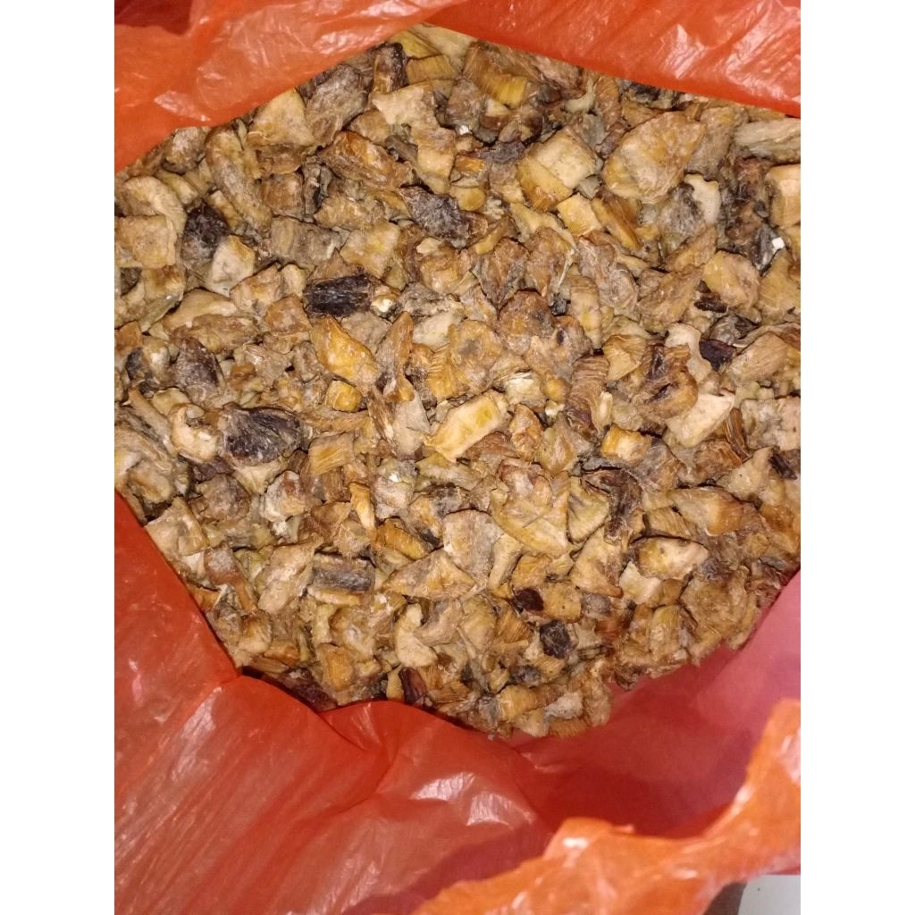 

500 gram Gatot Instan Premium Asli Gunung Wilis Organik