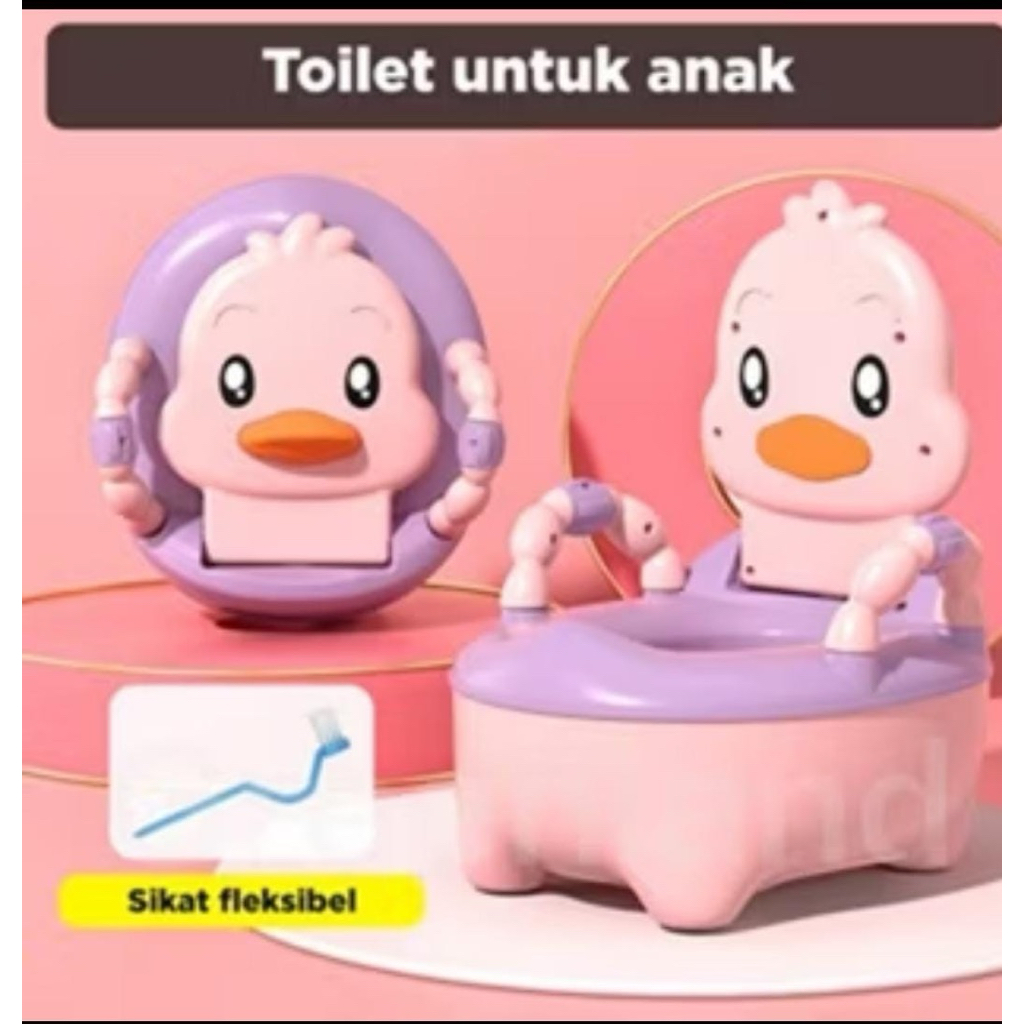wc duduk anak