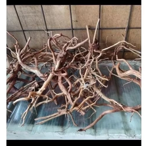 Akar Kayu hias aquarium Akar hias accesoris aquarium