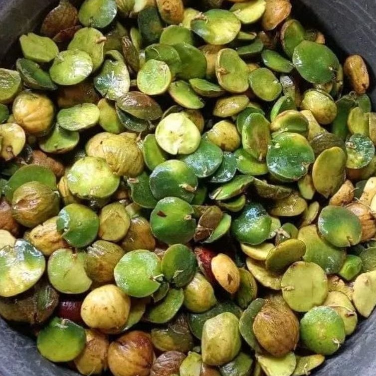 

jengkol beweh lampung murah 1kg oleh oleh lampung jengkol beweh lampung