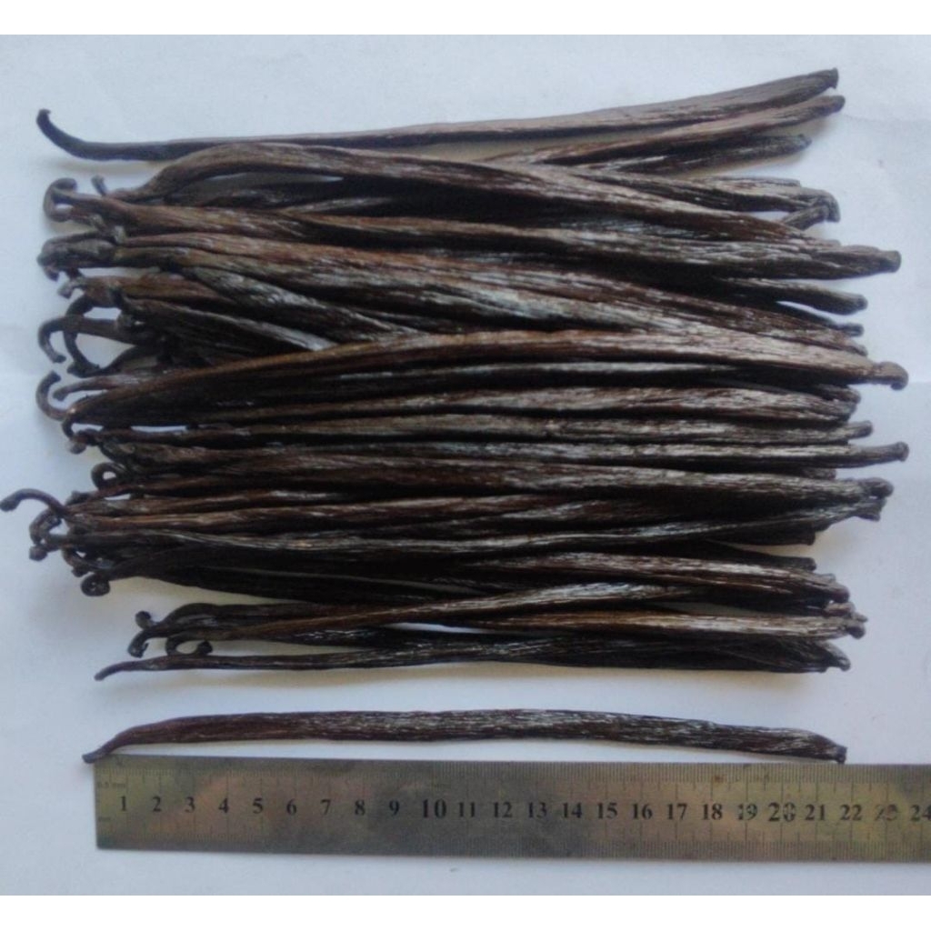 

Vanili Planifolia Beans Luxury 18 cm up