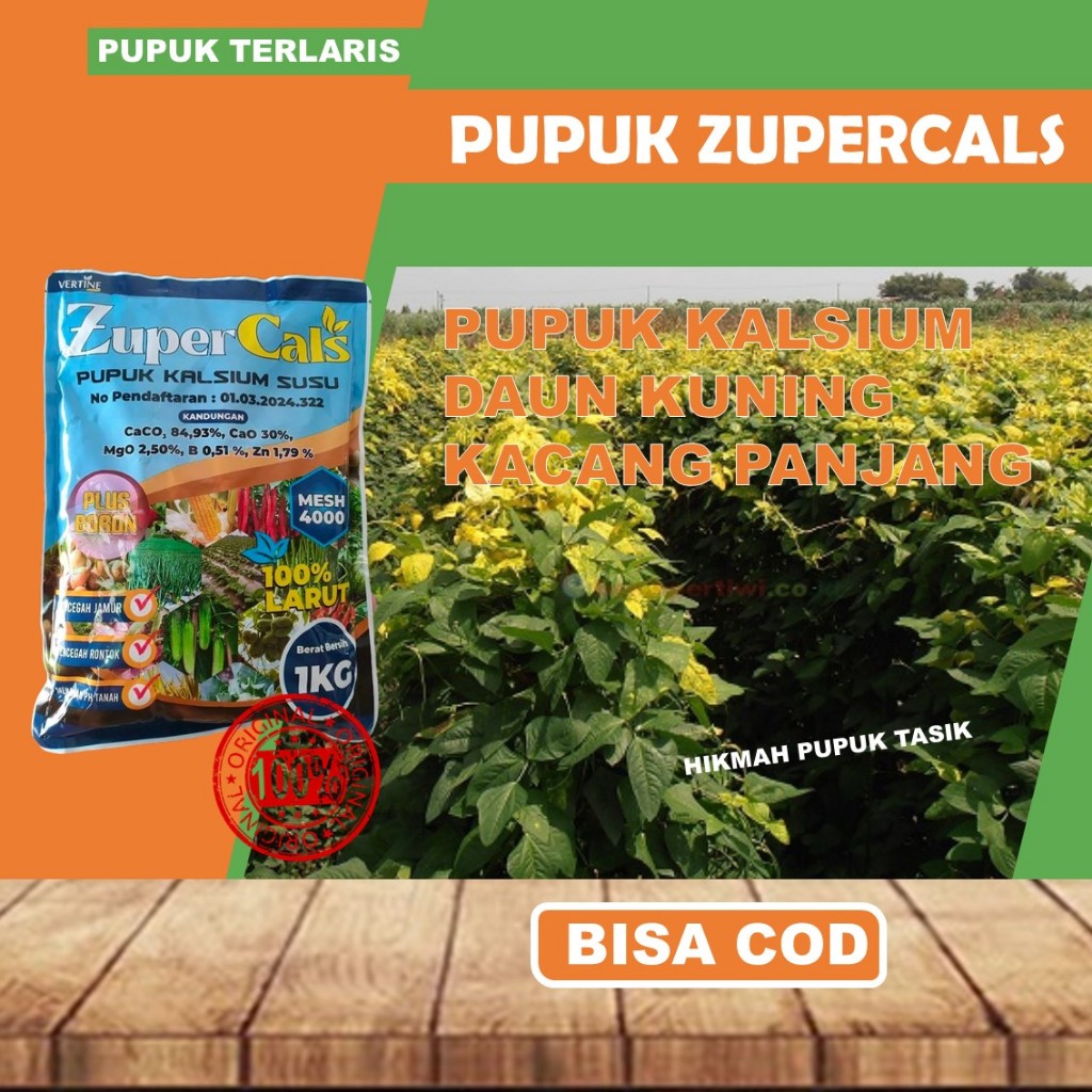Zupercals Pupuk Kalsium Cair Kacang Panjang | Atasi Daun Kuning & Keriting | Batang Kuat, Pertumbuha