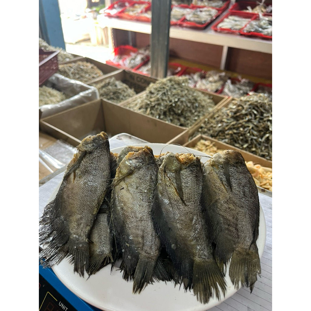 

Ikan asin sepat siam jumbo super murah