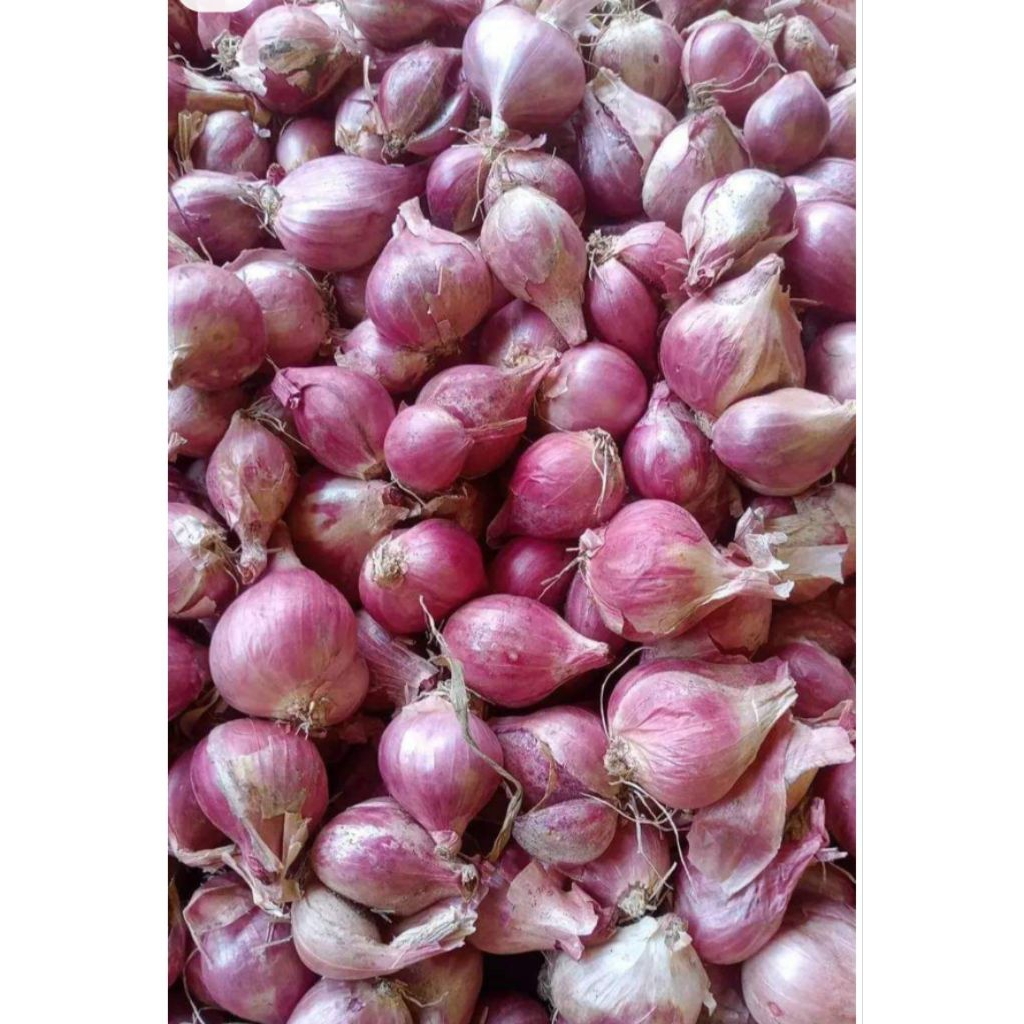 

bawang merah Brebes 500gram