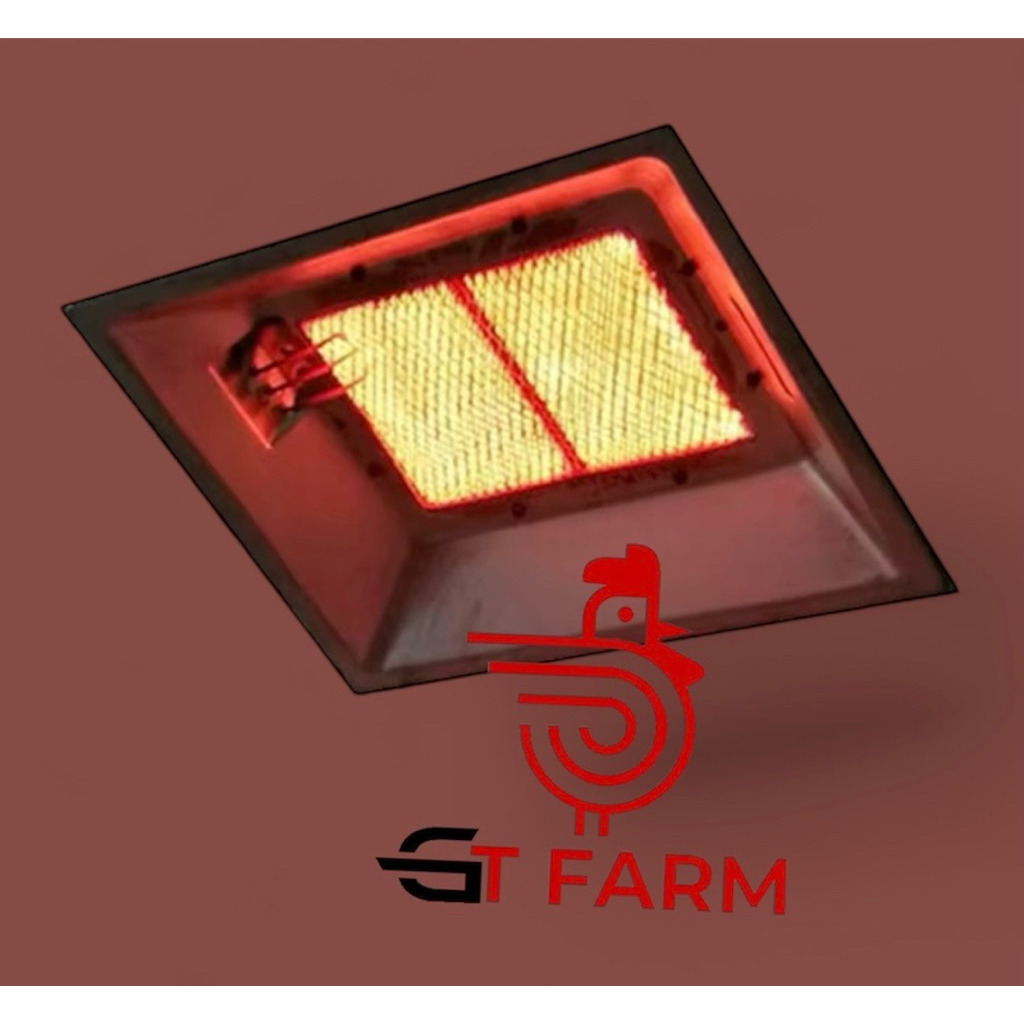 gasolec pemanas kandang ayam | gas brooder