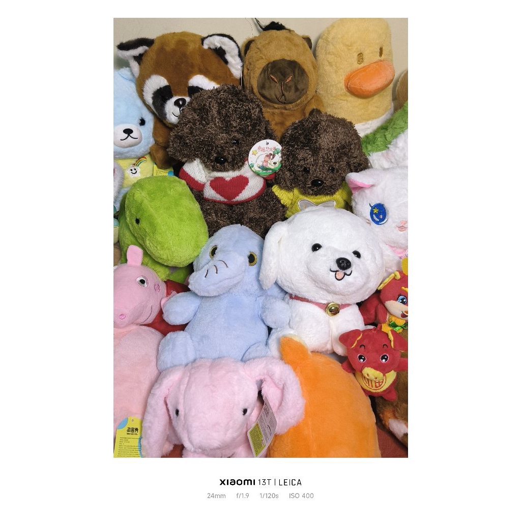 Random Boneka KKV OHSOME , Boneka Beruang ,Bonekah Hewan ,Boneka lucu, Boneka Baru Original