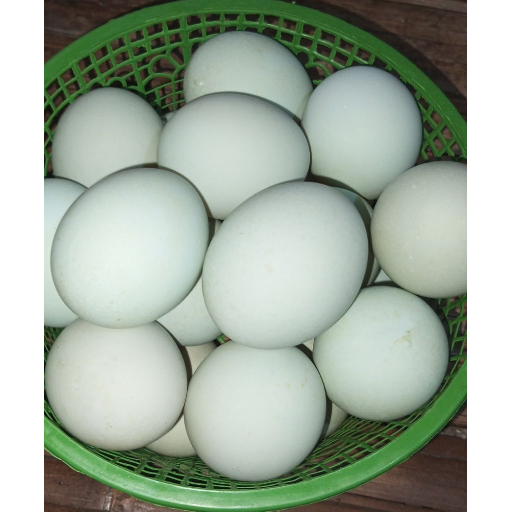 

FRESHH!!! TELUR ASIN KHAS KEBUMEN PER BUTIR