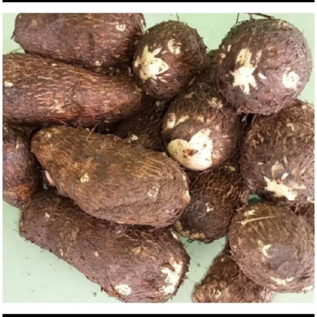 

talas balitung pulen herbal jual/1kg Peking aman