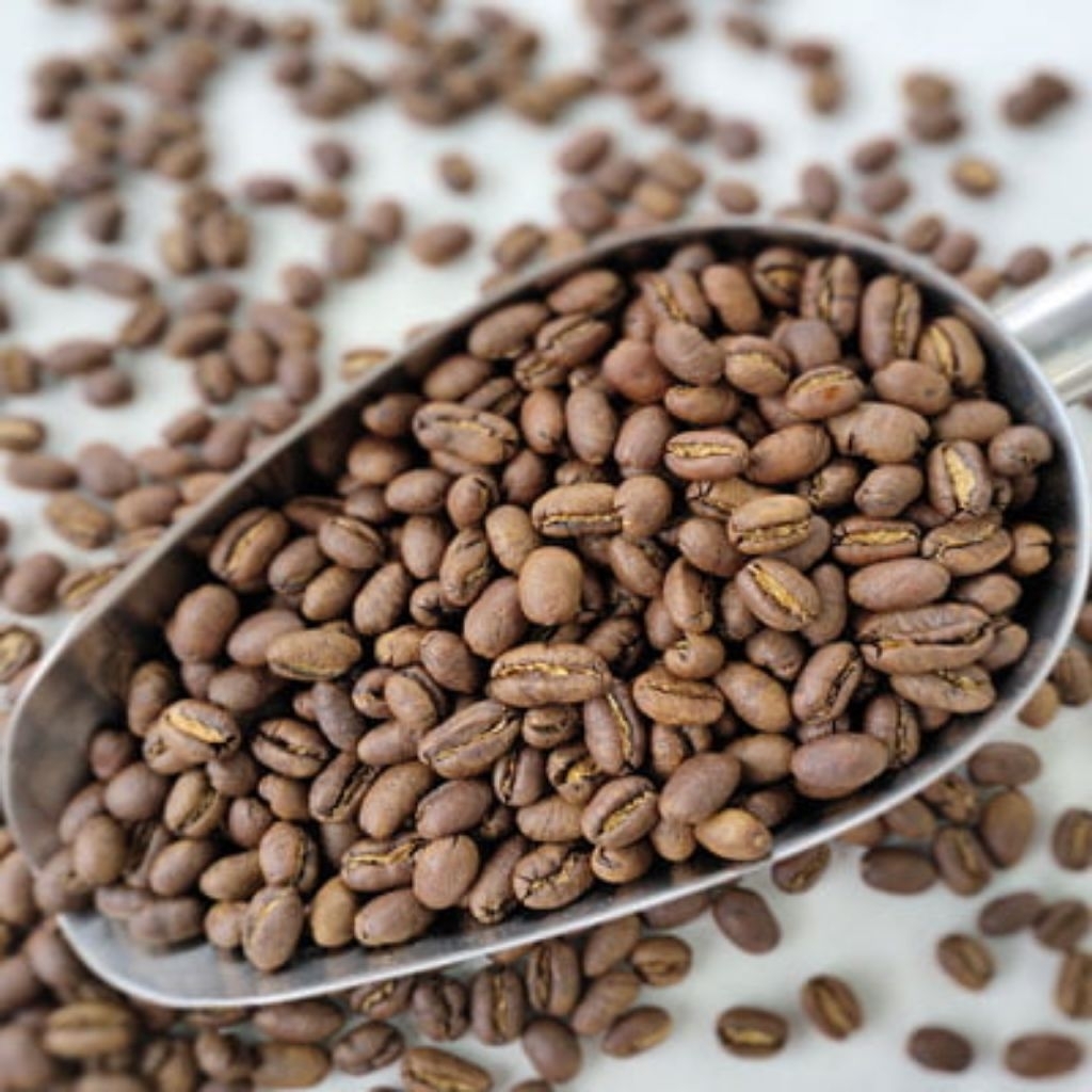 Kopi Gayo Peaberry King Jantan Arabica Aceh Gayo Fresh Roasted
