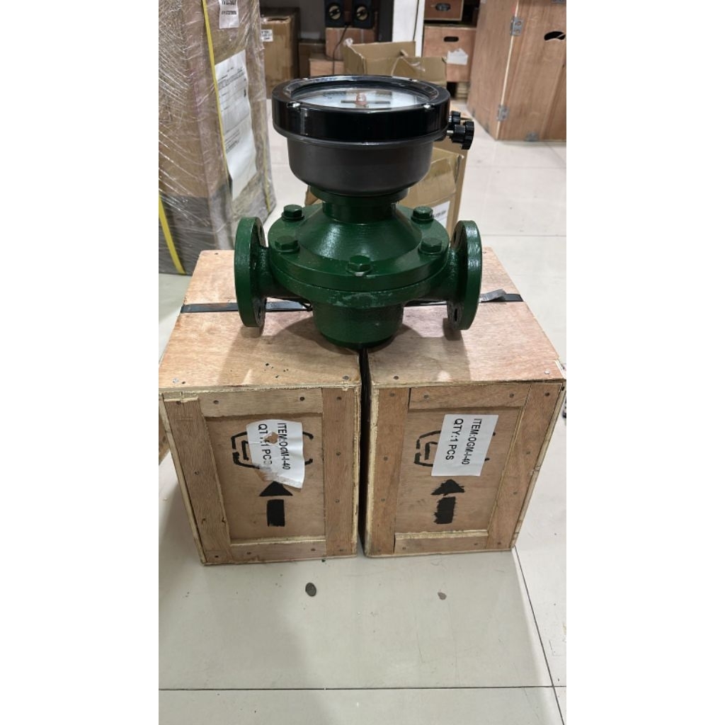 Flowmeter OGM Minyak DN50 Flow Meter Solar Flange 2”Inch Meteran BBM Oval Gear Pump Model Tokico