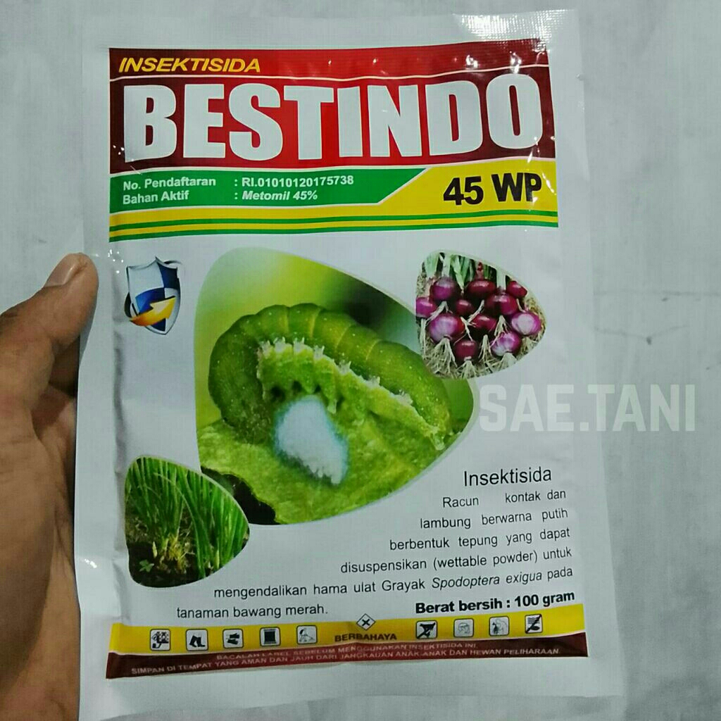Insektisida BESTINDO 45WP 100 gram