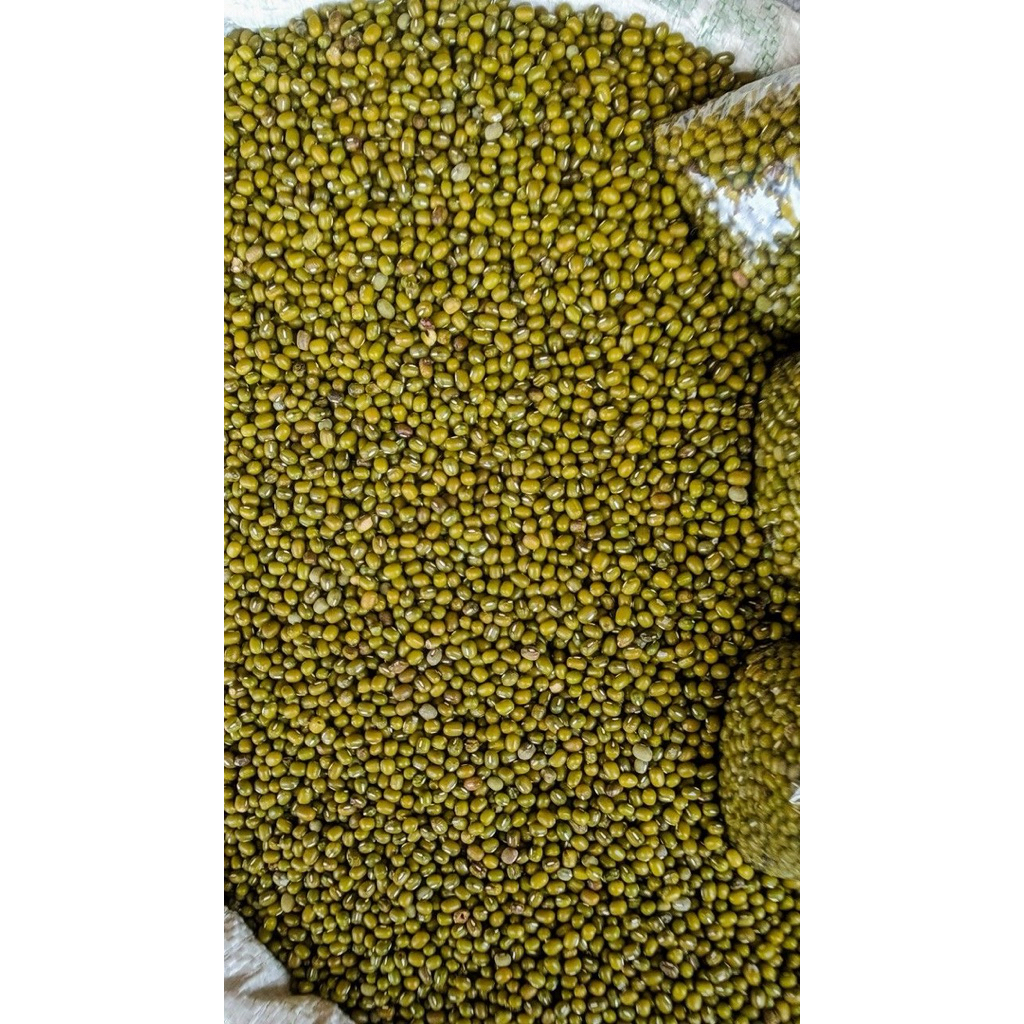 

Kacang ijo mentah tidak bantat super asli berkualitas panen petani