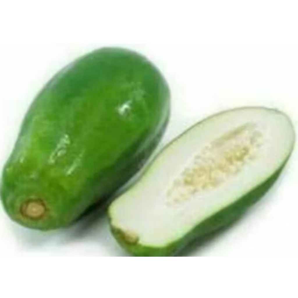 

BUAH PEPAYA MUDA 1 PCS, FRES BARU PETIK