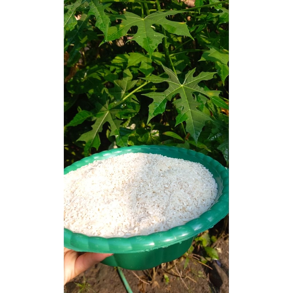 

Beras 1kg hasil petani cilacap