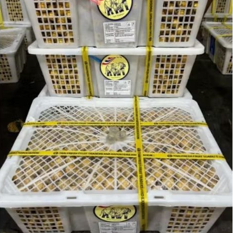 

Buah Klengkeng Bangkok Gjh biru per 1 bok krat