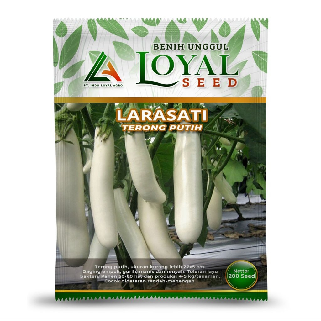 

LARASATI TERONG PUTIH200s