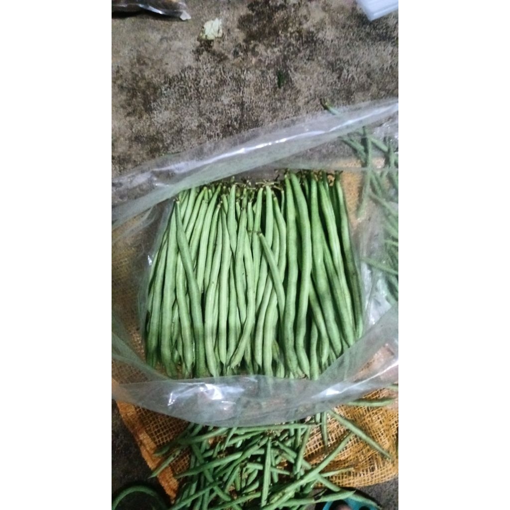 

buncis pertiwi segar 500gram