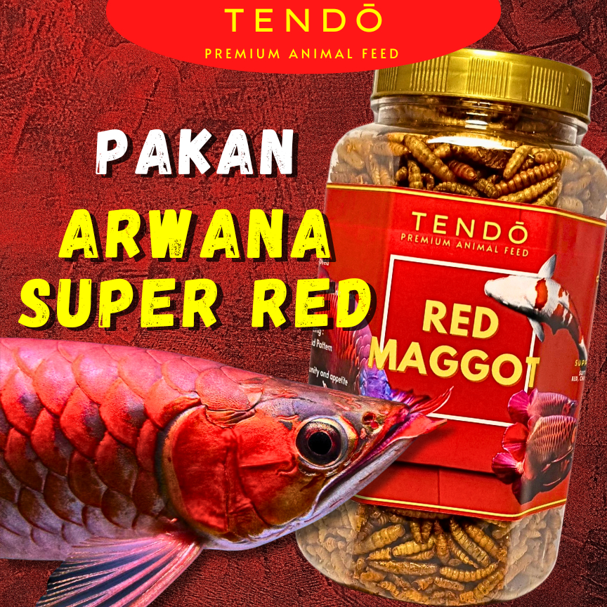 Pakan Arwana Super Red Premium Maggot Kering & Udang Kering Tendo
