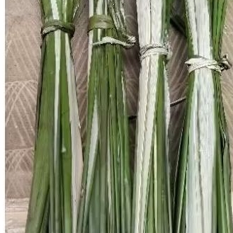 

Daun Aren segar 200gram