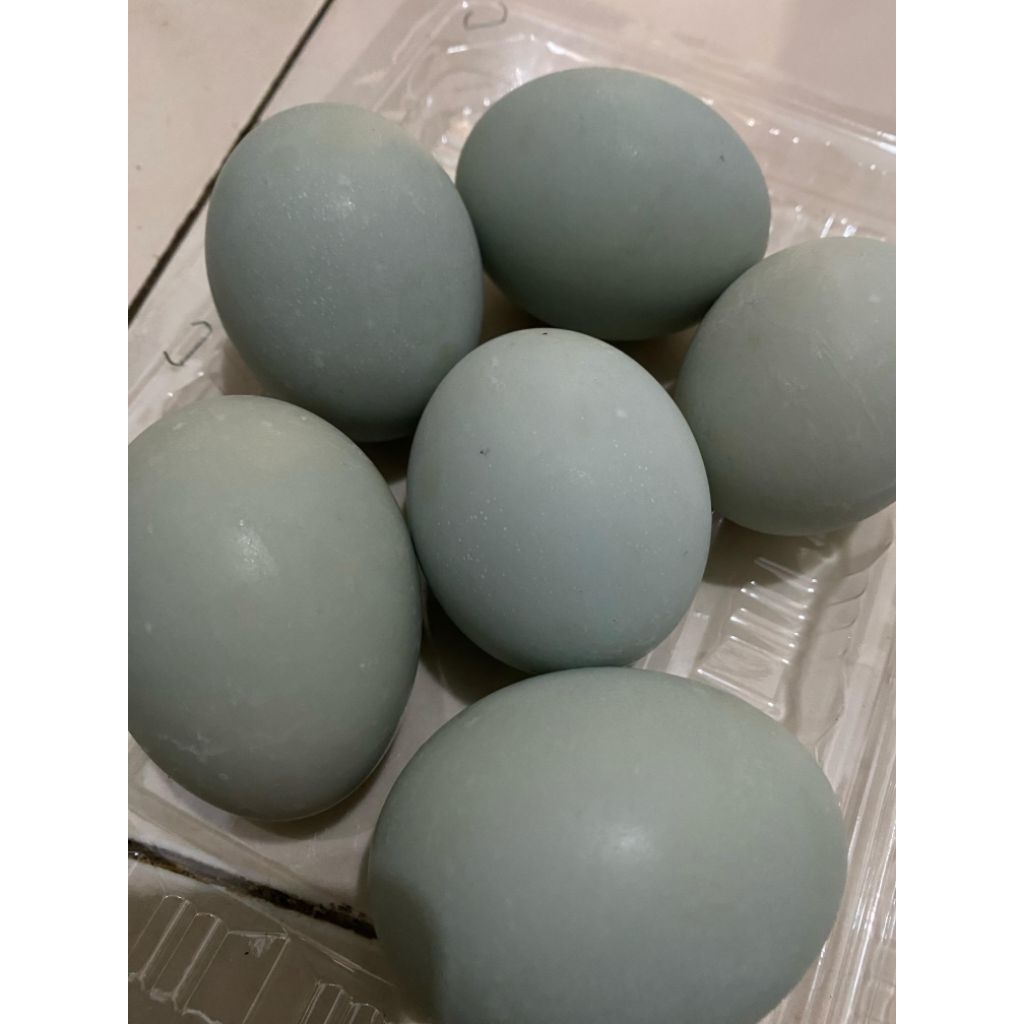 

TELUR ASIN MATENG LEZATTT