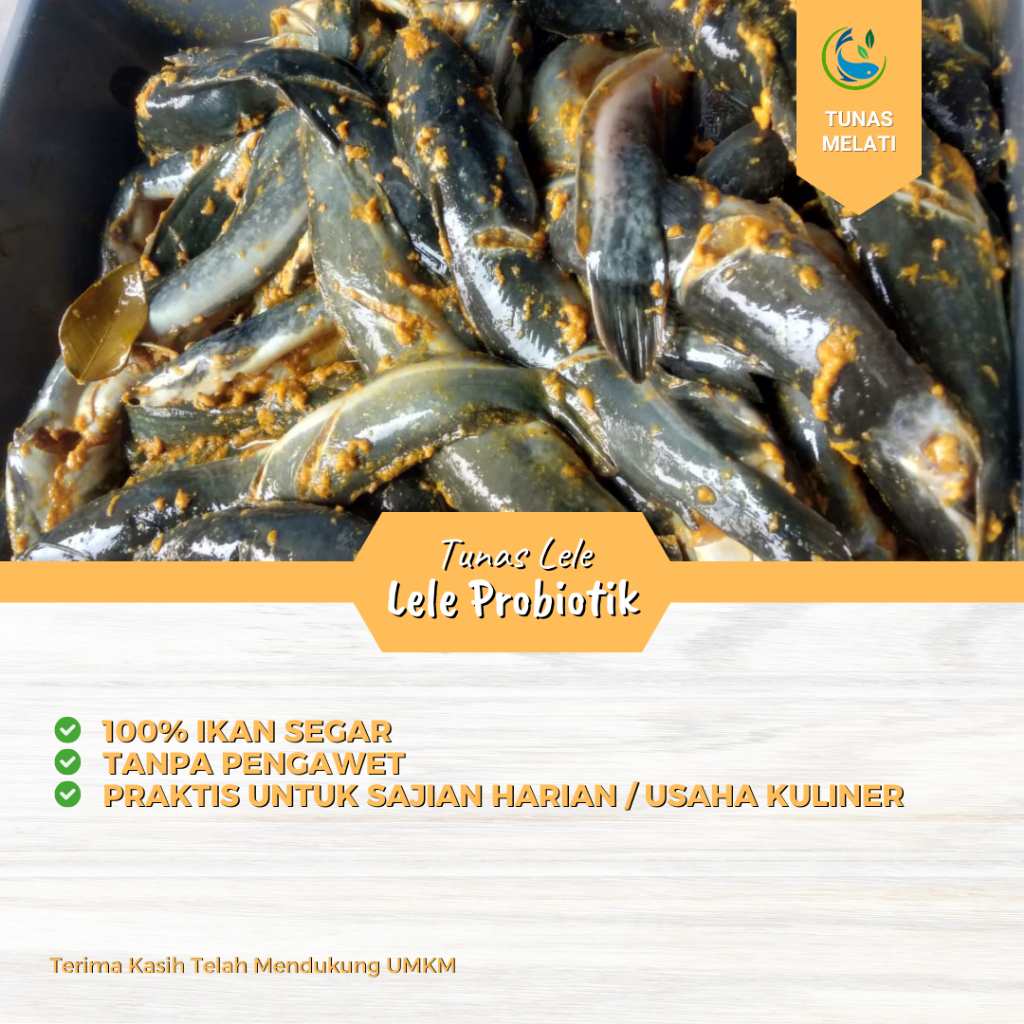 

Ikan Lele marinasi Fresh Probiotik 500gr / 1kg – Lele Segar Tanpa Bau Lumpur, Langsung dari Kolam