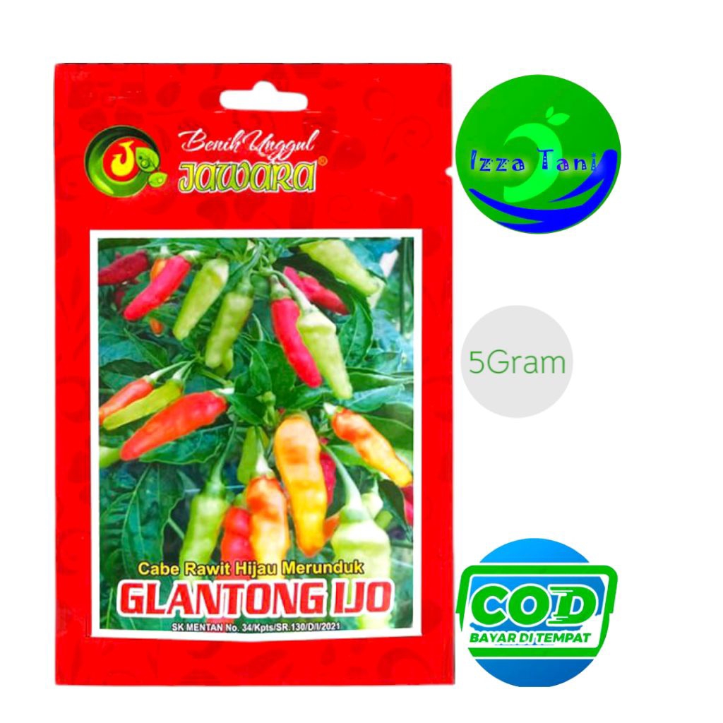Benih Cabe Rawit Hijau Merunduk GLANTONG IJO Bibit Cabe Rawit Jawara Rawit Pedas