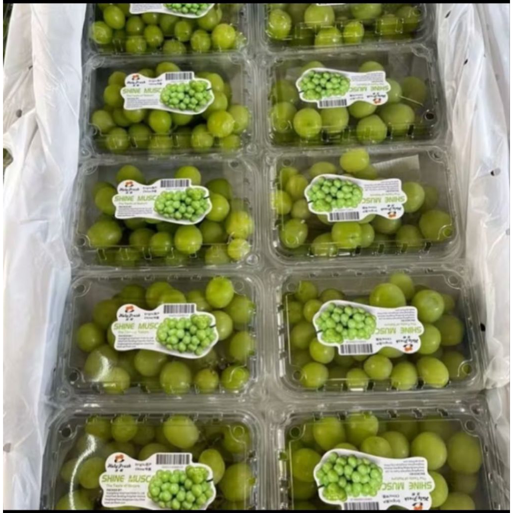 

anggur shine muscat 500Gram segar murah pengiriman same day instan