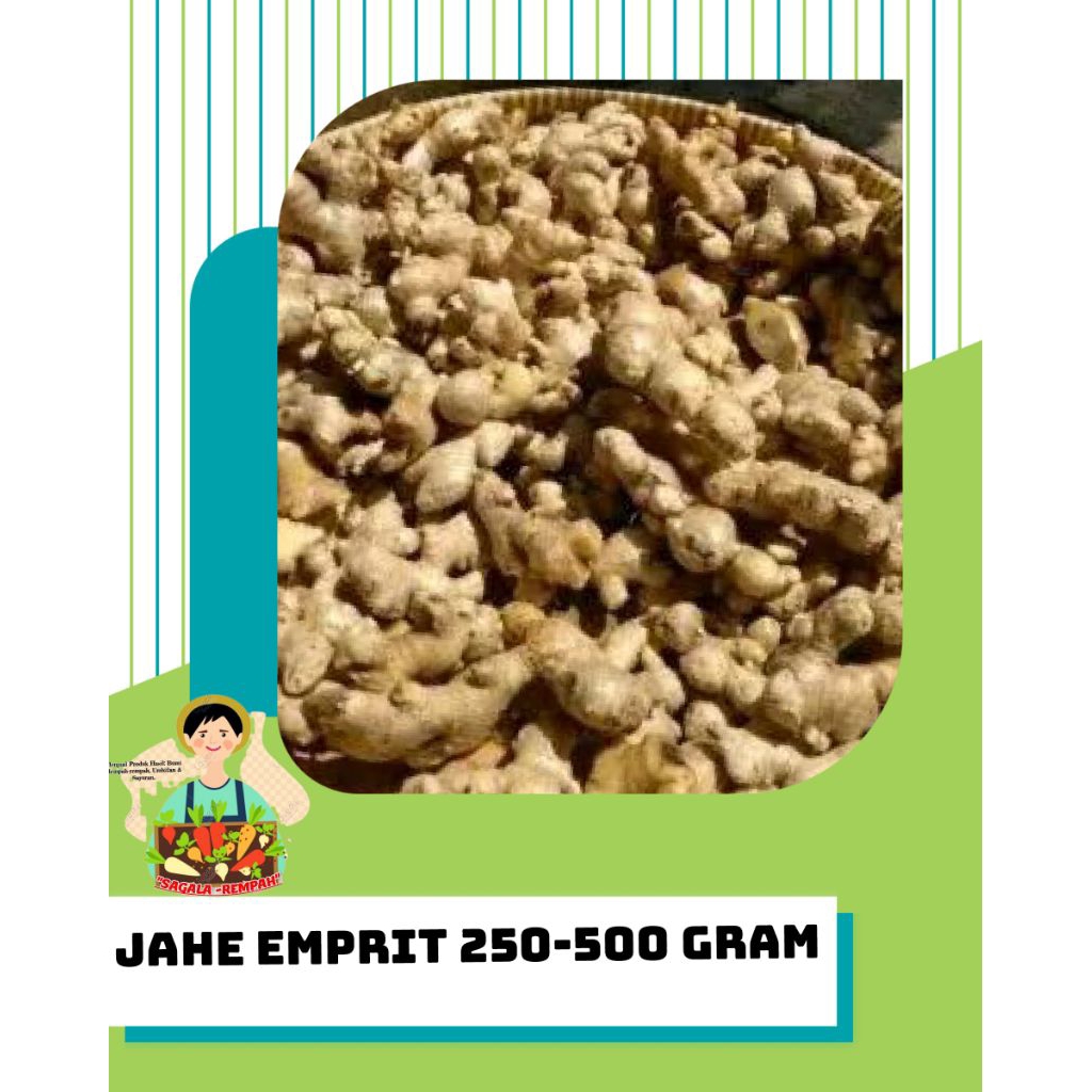 

JAHE EMPRIT SEGAR 500 GRAM