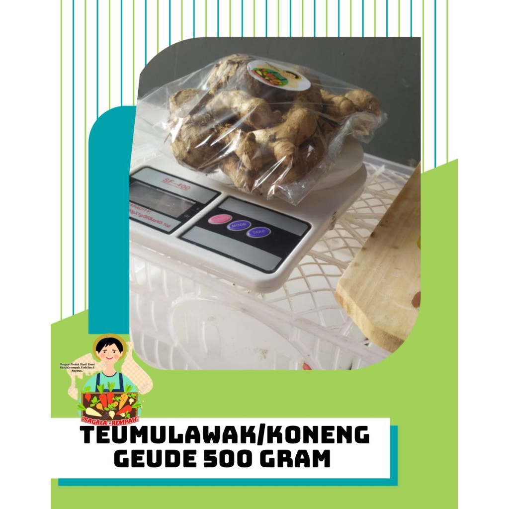 

TEUMULAWAK||KONENG GEDE 500 Gram