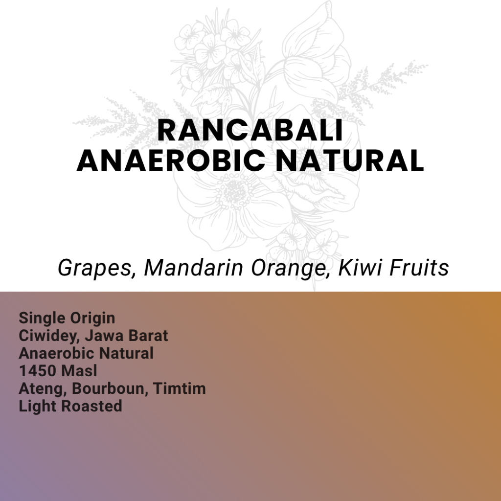

Kopi Arabika Rancabali Anaerobic Natural Single Origin Fresh Roast 100gr 200gr - Biji Kopi & Bubuk Asli Specialty Coffee