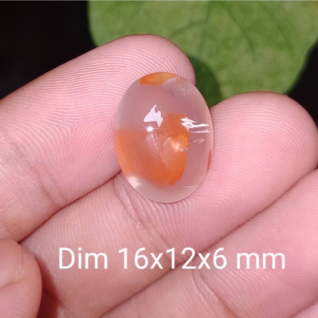 BATU CEMPAKA KARANG MERAH ANTIK NATURAL koleksi lainnya cincin kalimaya Wulung giok opal new akik ba
