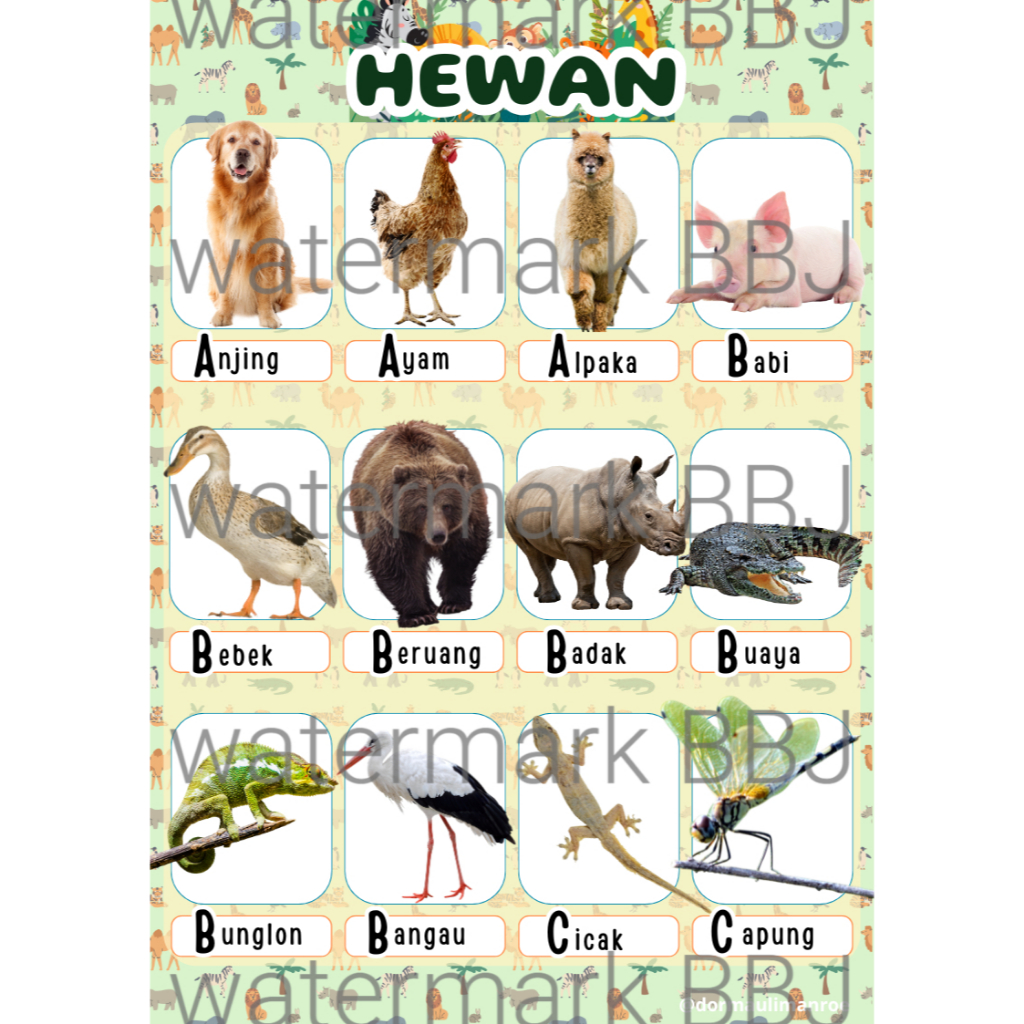 Layanan Desain Poster Edukasi Anak - Poster Edukasi Hewan