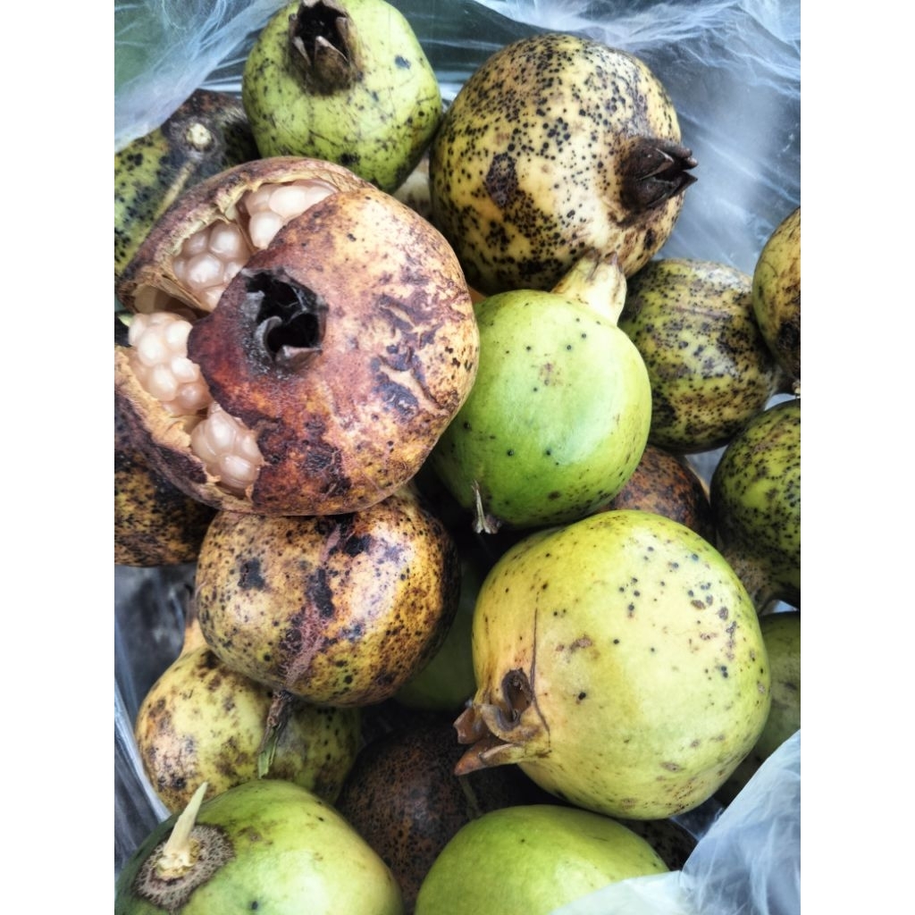 

buah delima ukuran kecil 1kg